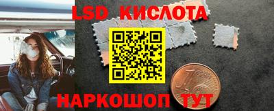 крисы Кулебаки