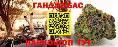 крисы Кулебаки