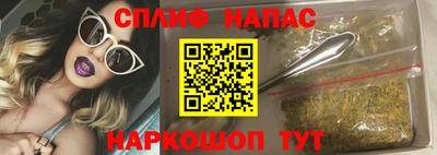 крисы Кулебаки