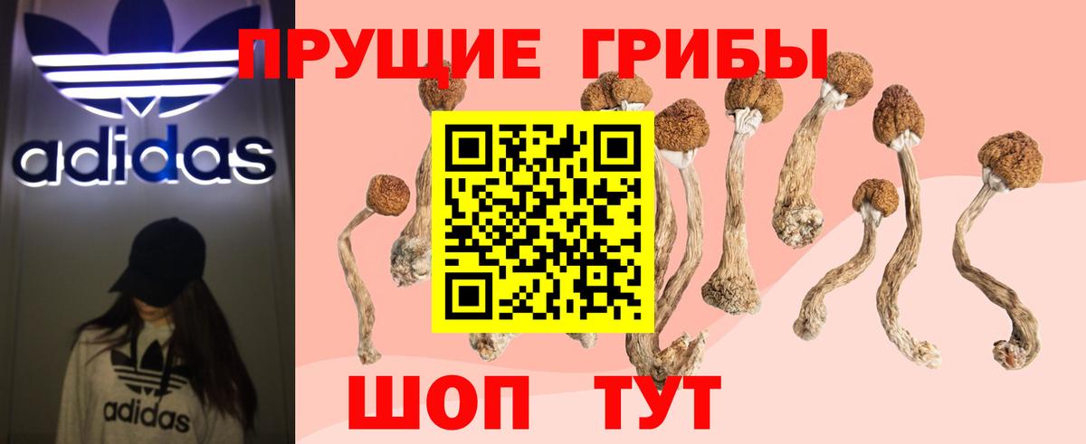 Гусь-Хрустальный  Псилоцибиновые грибы GOLDEN TEACHER  Вход с VPN 