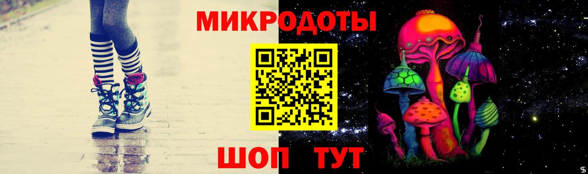 Псилоцибиновые грибы Psilocybe Гусь-Хрустальный